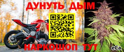 крисы Абинск