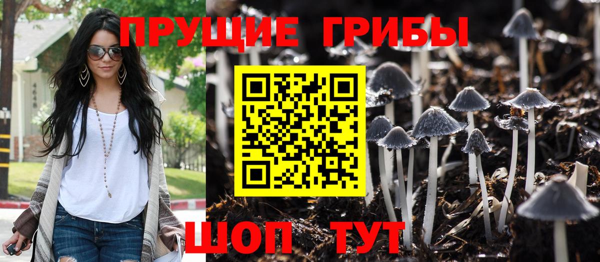 Галлюциногенные грибы Magic Shrooms  Вход с VPN  Прохладный 