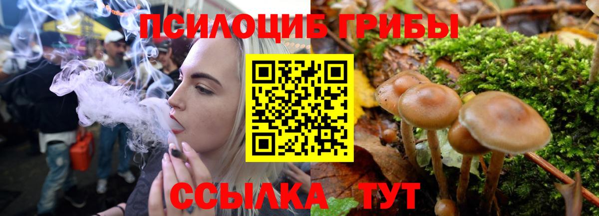 Псилоцибиновые грибы MAGIC MUSHROOMS Прохладный